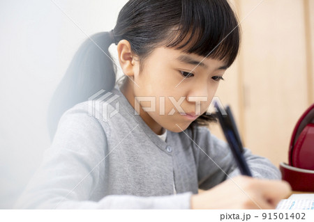勉強する小学生の女の子 91501402