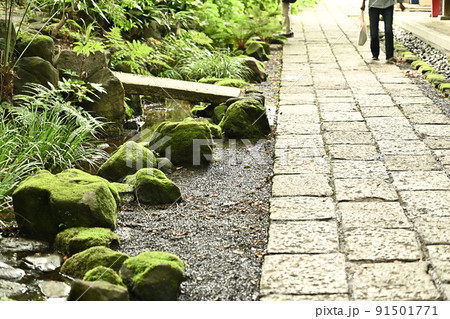散歩道　石畳の小道　緑色の苔むす石に並ぶプロムナード 91501771