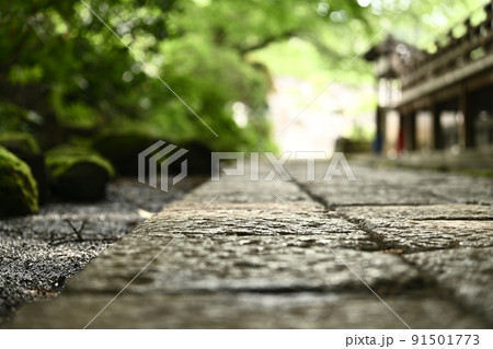 石畳の散歩道　新緑が輝く石畳の小道 91501773