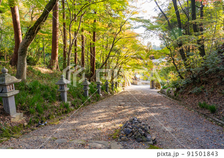 滋賀県多賀町 秋の胡宮神社の鳥居 滋賀県多賀町 秋の胡宮神社の鳥居 91501843