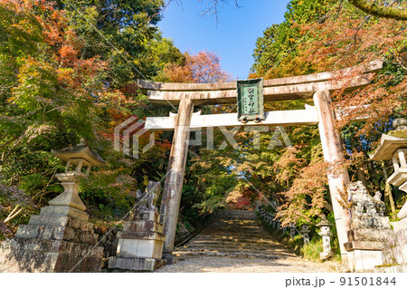 滋賀県多賀町　秋の胡宮神社の鳥居 91501844