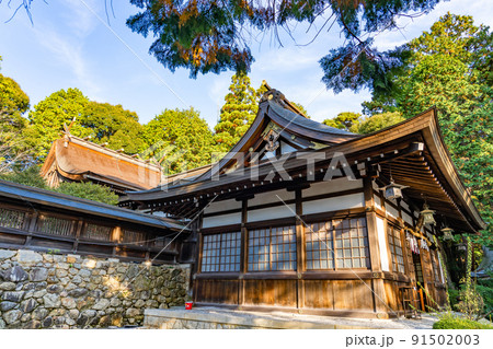 滋賀県多賀町　秋の胡宮神社の本堂 91502003