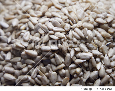 Lots of peeled sunflower seeds close-up. Heap of seeds 91503398