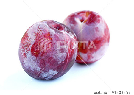 プラム(いくみ) プラム(いくみ) 91503557