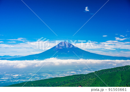 （神奈川県）梅雨明け宣言後の芦ノ湖スカイラインから望む富士山 91503661
