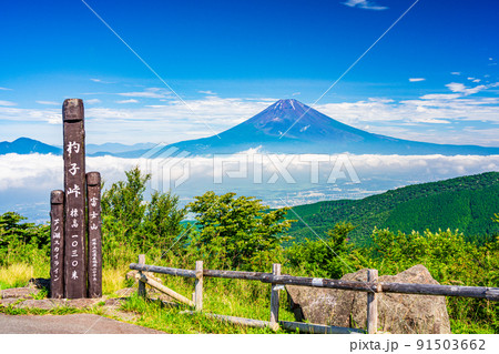 (神奈川県)梅雨明け宣言後の芦ノ湖スカイライン杓子峠から望む富士山 (神奈川県)梅雨明け宣言後の芦ノ湖スカイライン杓子峠から望む富士山 91503662
