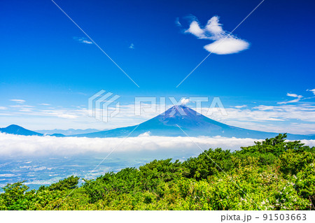 （神奈川県）梅雨明け宣言後の芦ノ湖スカイラインから望む富士山 91503663