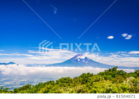 (神奈川県)芦ノ湖スカイライン・三国峠から望む富士山 (神奈川県)芦ノ湖スカイライン・三国峠から望む富士山 91504071
