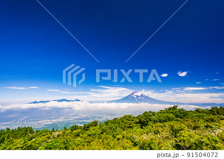 （神奈川県）芦ノ湖スカイライン・三国峠から望む富士山 91504072