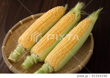 とうもろこし とうもろこし 91504290