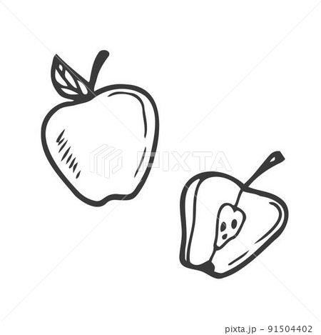 Apple slice and full apple. Black line fruits illustration set. Graphic vector sketch in hand drawn style. Fresh tropical elements on white background. Apple slice and full apple. Black line fruits illustration set. Graphic vector sketch in hand drawn style. Fresh tropical elements on white background. 91504402