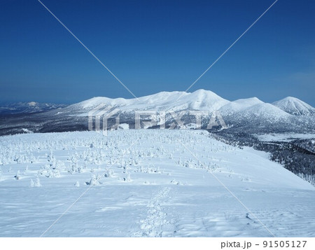 快晴の冬の北八甲田 91505127
