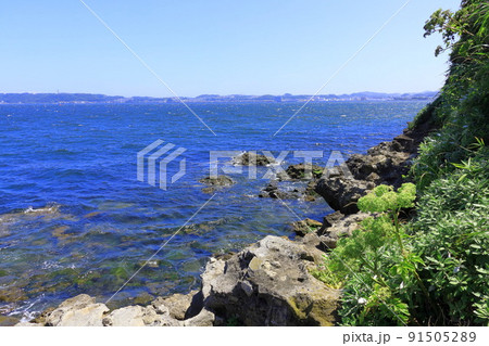 猿島の岩場 猿島の岩場 91505289