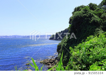 猿島の岩場 91505334