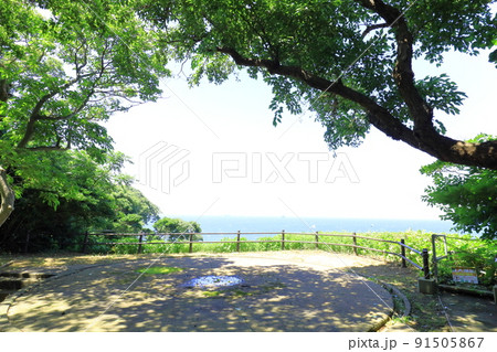 東京湾無人島 猿島 砲台跡 91505867