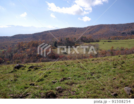 八ヶ岳牧場の風景 91508254