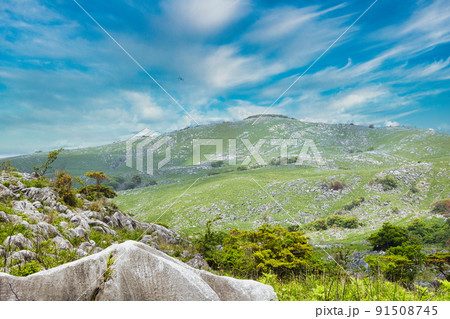 【福岡県平尾台】カルスト台地 91508745
