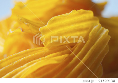 クロ－ズアップ クローズアップ 接写 91509138