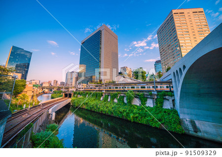 日本の東京都市景観　美しい聖橋や御茶ノ水駅などを望む 91509329