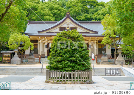湊川神社 湊川神社 91509390