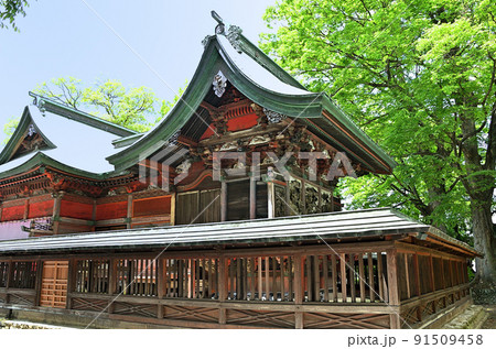 埼玉県本庄市児玉町の東石清水八幡（ひがしいわしみず）神社の本殿 91509458