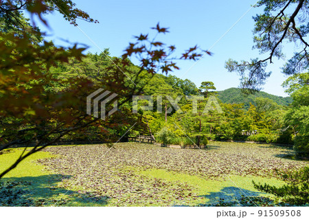神戸森林植物園 神戸森林植物園 91509508