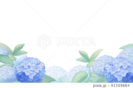 青い紫陽花が咲く風景 91509664