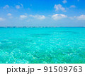 カリブの美しい海　ベリーズ 91509763