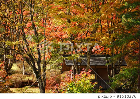 古峯神社の紅葉 栃木県 91510276