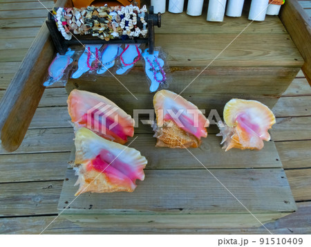 Sea shells souvenirs somewhere 91510409