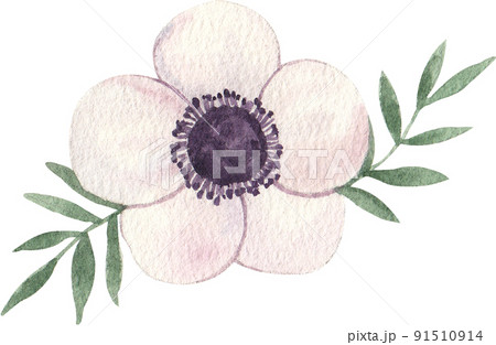 Watercolor hand draw illustration with cute alpaca lama and decor icon 91510914