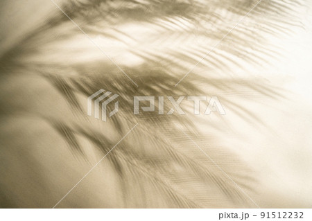 The shadow of a palm tree branch on the sand of a sandy tropical beach. Background, copy space, travel, summer concept. The shadow of a palm tree branch on the sand of a sandy tropical beach. Background, copy space, travel, summer concept. 91512232