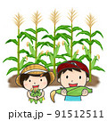 色鉛筆手描きイラスト　トウモロコシを収穫する子供たち 91512511