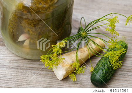 Jar of pickled cucumbers, dill and green cucumber and chshan. Shot from above. Jar of pickled cucumbers, dill and green cucumber and chshan. Shot from above. 91512592
