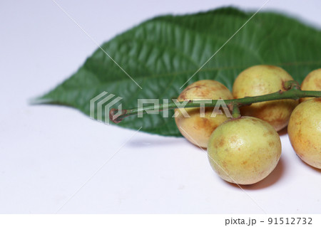 Baccaurea motleyana with leaf for eat Baccaurea motleyana with leaf for eat 91512732