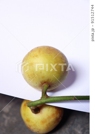 Baccaurea motleyana with leaf for eat Baccaurea motleyana with leaf for eat 91512744