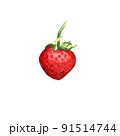 Watercolor red juicy strawberry .Hand drawn food illustration. Fruit print. Summer sweet fruits and berries. 91514744