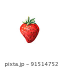 Watercolor red juicy strawberry .Hand drawn food illustration. Fruit print. Summer sweet fruits and berries. 91514752