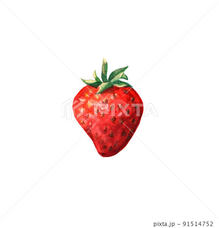 Watercolor red juicy strawberry .Hand drawn food illustration. Fruit print. Summer sweet fruits and berries. Watercolor red juicy strawberry .Hand drawn food illustration. Fruit print. Summer sweet fruits and berries. 91514752
