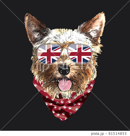 Yorkshire Terrier portrait, Cute cool dog in UK flag glasses and bandana, Vector illustration 91514855