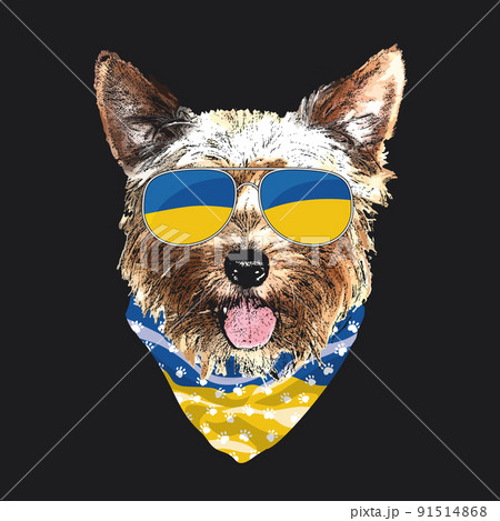 Yorkshire Terrier portrait, Cute cool dog in Ukraine flag glasses and bandana, Vector illustration 91514868