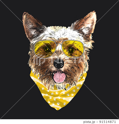 Yorkshire Terrier portrait, Cute cool dog in glasses and bandana, Vector illustration 91514871