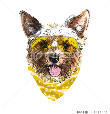 Yorkshire Terrier portrait, Cute cool dog in glasses and bandana, Vector illustration 91514873