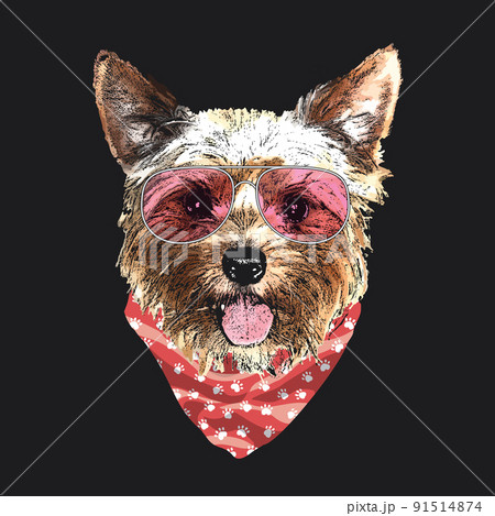 Yorkshire Terrier portrait, Cute cool dog in glasses and bandana, Vector illustration 91514874