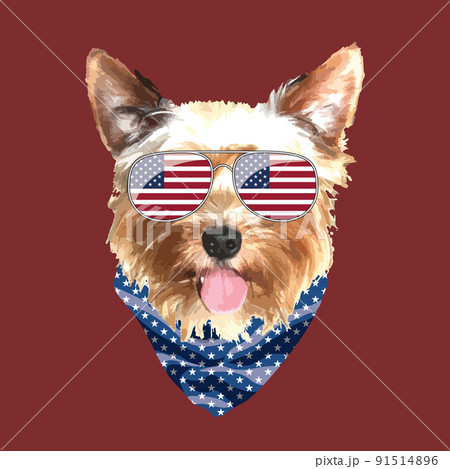 Yorkshire Terrier portrait, Cute cool dog in USA flag glasses and bandana, Vector illustration 91514896