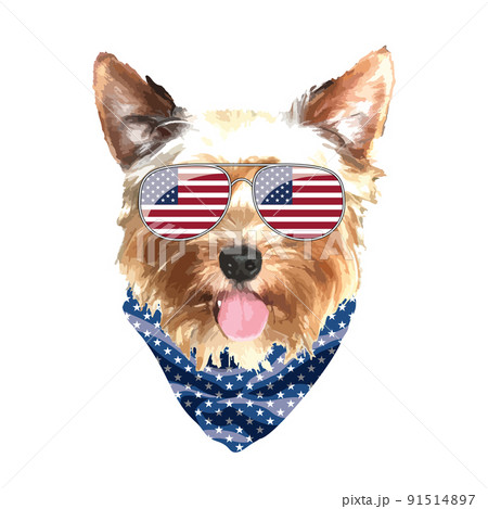 Yorkshire Terrier portrait, Cute cool dog in USA flag glasses and bandana, Vector illustration 91514897