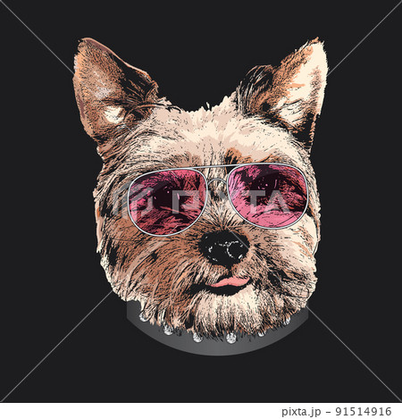 Yorkshire Terrier portrait, Cute cool dog in glasses, Vector illustration 91514916