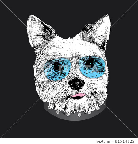 Yorkshire Terrier portrait, Cute cool dog in glasses, Vector illustration 91514925
