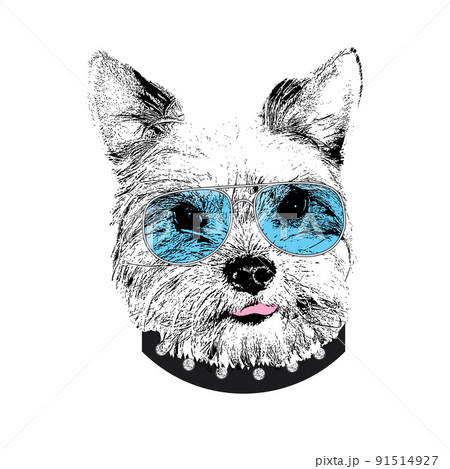 Yorkshire Terrier portrait, Cute cool dog in glasses, Vector illustration 91514927