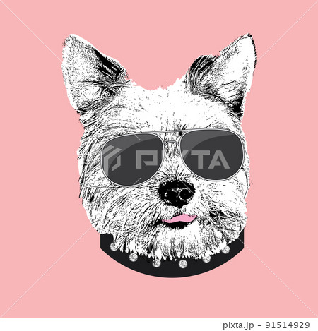 Yorkshire Terrier portrait, Cute cool dog in glasses, Vector illustration 91514929
